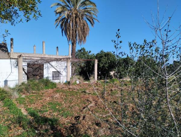 Finca rústica en venta en Finca rústica en Vall de Ebo , Vall de Ebo thumbnail 3