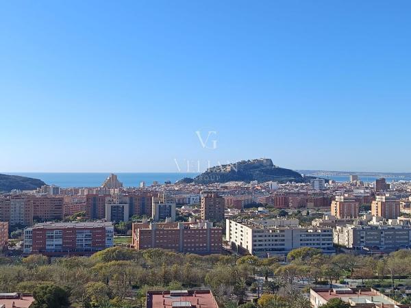 Sale of flat in Piso en Calle Pintor Pedro Camacho, Ciudad Elegida, Alicante / Alacant, Alicante
thumbnail 2