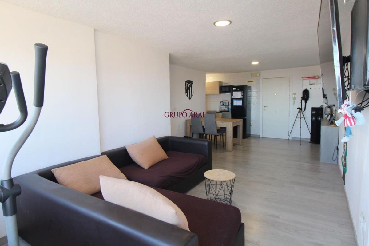 Sale of apartment in Piso en Calle Pintor Pedro Camacho, Ciudad Elegida, Alicante / Alacant, Alicante
 photo 5