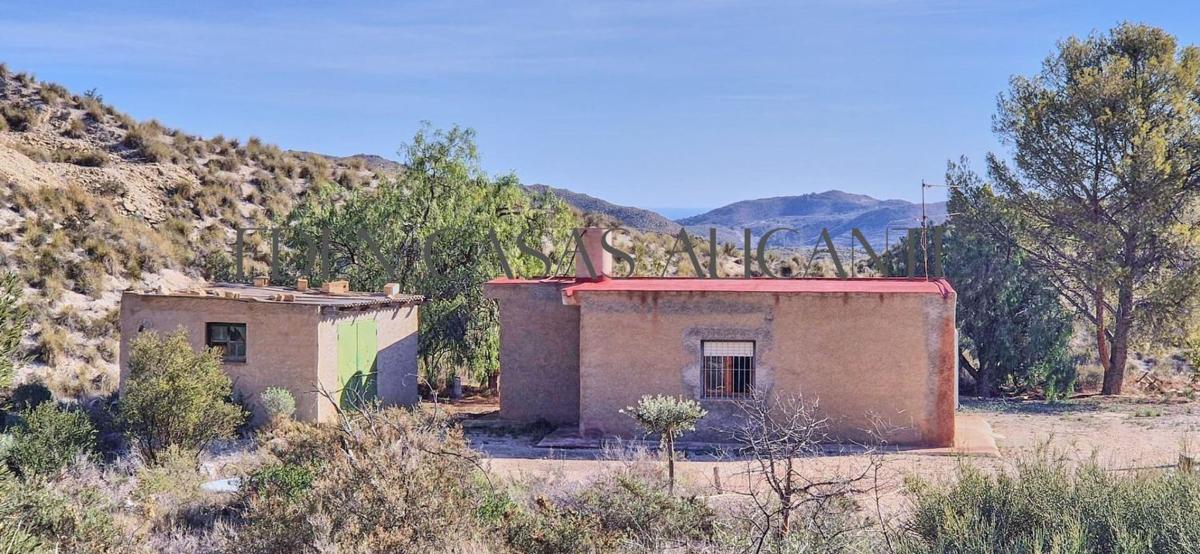 Properties for sale and rent in Spain photo 2