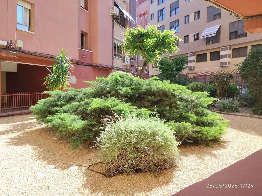 Sale of apartment in Piso en Carolinas Altas, Alicante / Alacant, Alicante
photo 2