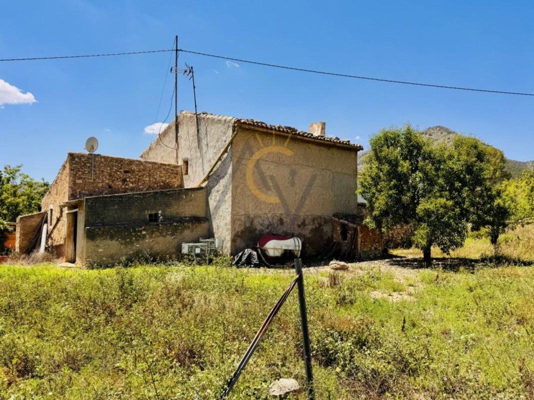 Propiedades en venta y alquiler en España photo 5