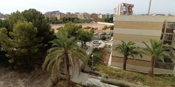Sale of flat in Piso en Pintor Astorza y Triay, Ciudad Elegida, Alicante / Alacant, Alicante
 photo 1