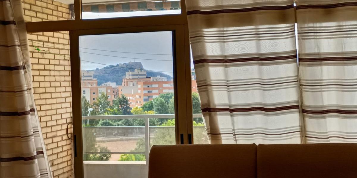 Sale of apartment in Piso en Pintor Astorza y Triay, Ciudad Elegida, Alicante / Alacant, Alicante
photo 5