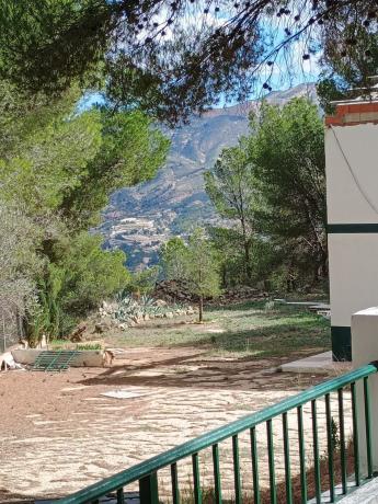 Продаётся загородный участок в  Finca rústica en Partida Torrosellas, 82, Tibi , Тиби photo 4