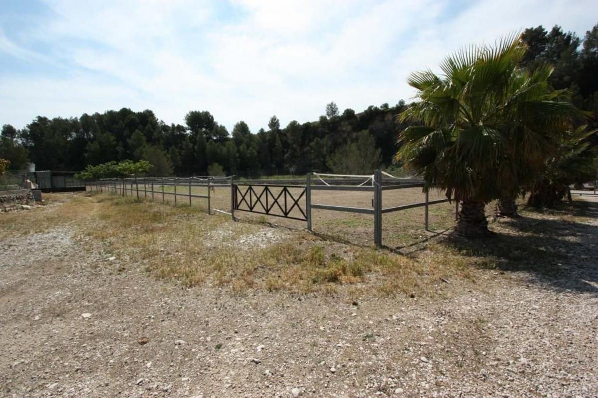 Properties for sale and rent in Spain photo 5