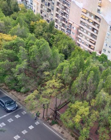 Продажа квартиры на Piso en Avenida de la Llibertat, Pont Nou-Corazón de Jesús, Elche / Elx, Эльче / Эльх
 photo 1