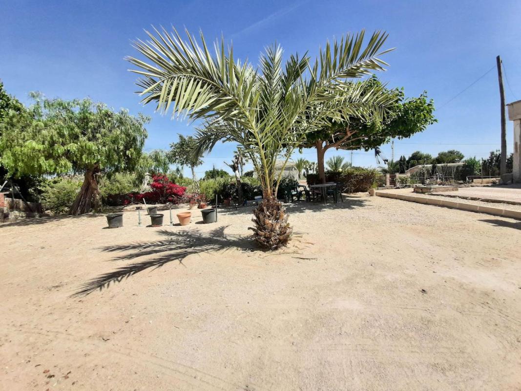 Продажа загородного участка в Finca rústica en La Galia-Bonavista, Elche / Elx , Эльче / Эльх photo 2