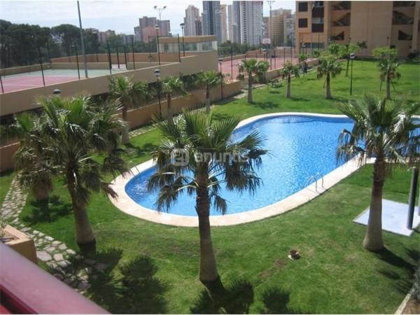 Sale of flat in Piso en Calle Presidente Adolfo Suárez, 12, Pueblo Poniente, Benidorm, Benidorm
thumbnail 2