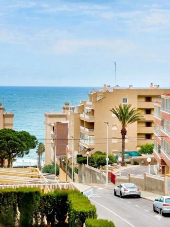 Sprzedaż mieszkania w Piso en Calle Marbella, 12, Arenales del Sol, Elche / Elx, Elche / Elx
photo 1