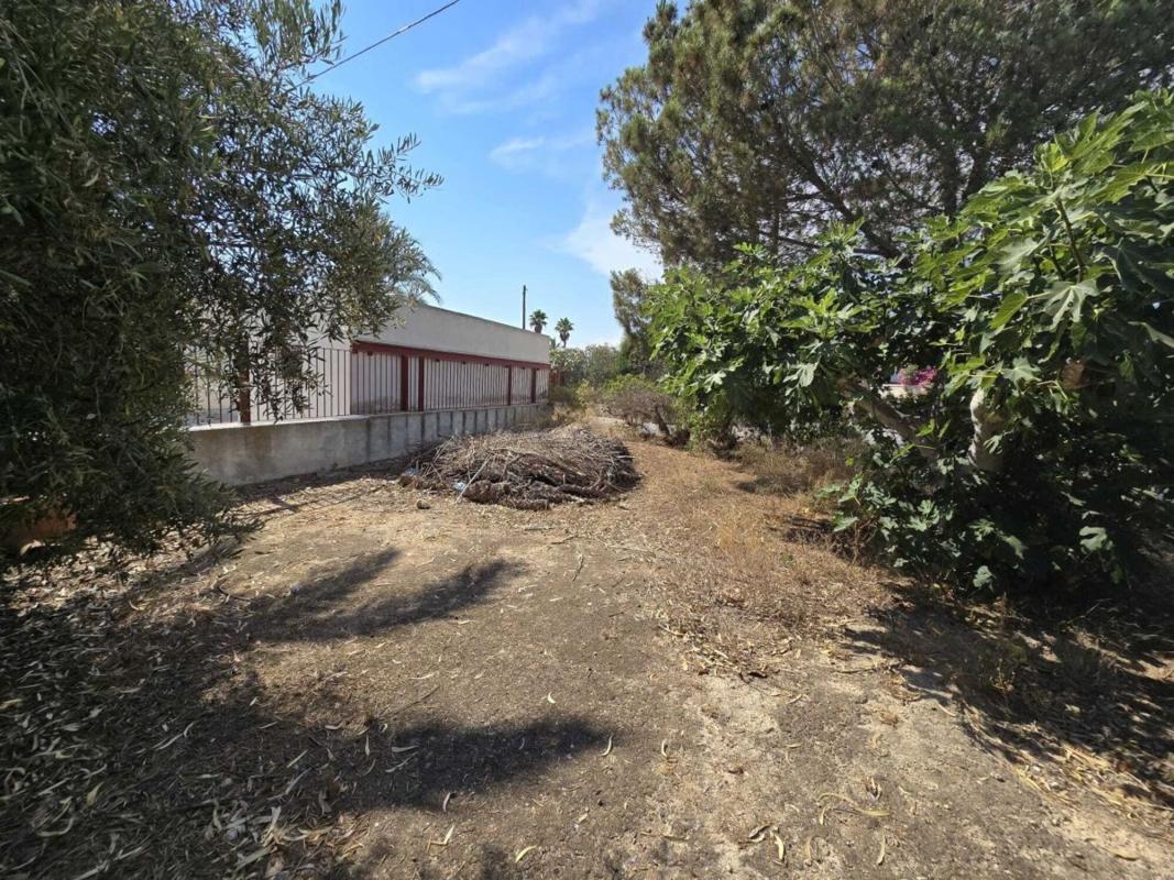 Продажа загородного участка в Casa rústica en Partida Valverde Bajo, Valverde, Elche / Elx , Эльче / Эльх photo 4