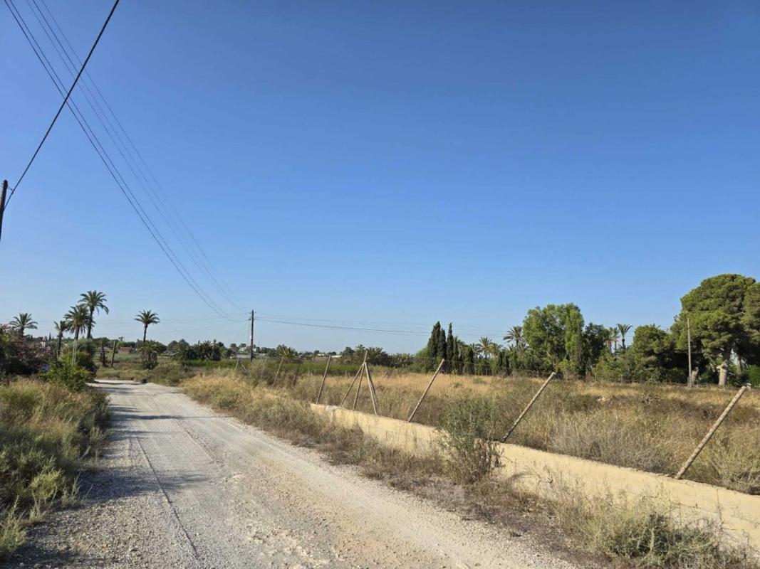 Продажа загородного участка в Casa rústica en Partida Valverde Bajo, Valverde, Elche / Elx , Эльче / Эльх photo 5