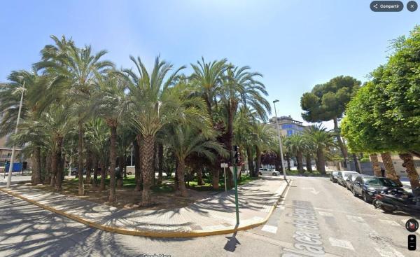 Sprzedaż mieszkania w Piso en Calle Fra Pere Balaguer, Zona Universidad, Elche / Elx, Elche / Elx
 photo 4