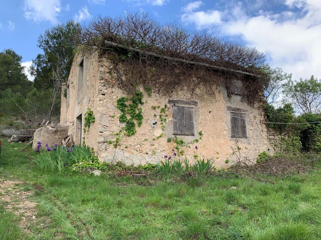 Sprzedaż działki rolnej w Finca rústica en Torremanzanas , Torremanzanas photo 2