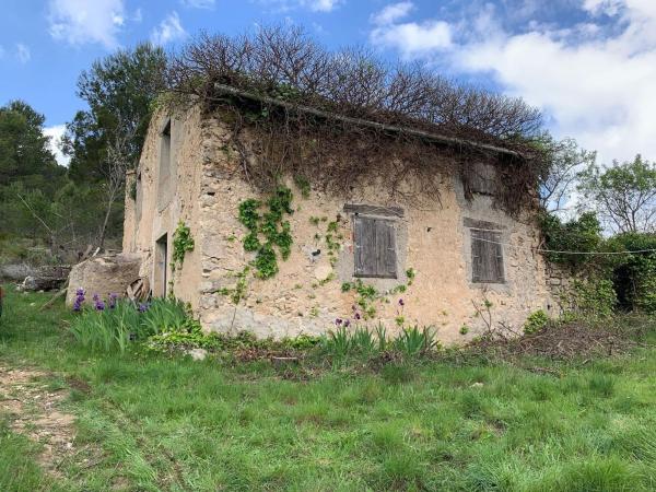 Rustic farm for sale in Finca rústica en Torremanzanas , Torremanzanas thumbnail 2