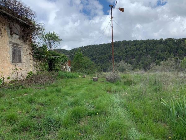 Rustic farm for sale in Finca rústica en Torremanzanas , Torremanzanas thumbnail 3