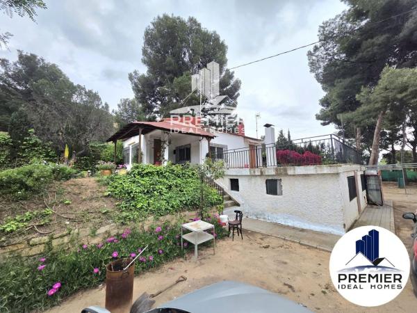 Casa o chalet independiente en reventon, Campo Alto, Elda thumbnail 3