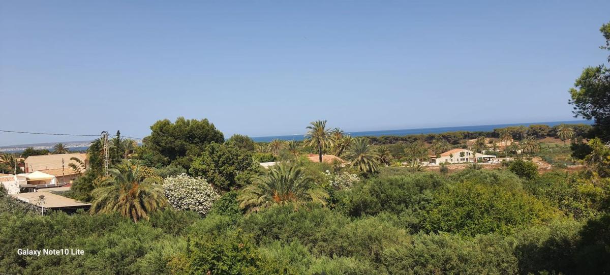 Продажа квартиры на Piso en Avenida de l'Alegría, 112, La Marina, Elche / Elx, Эльче / Эльх
 photo 2