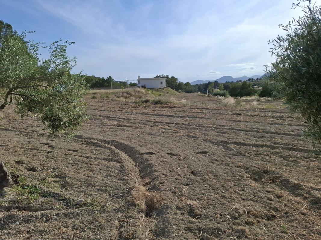 Propiedades en venta y alquiler en España photo 2