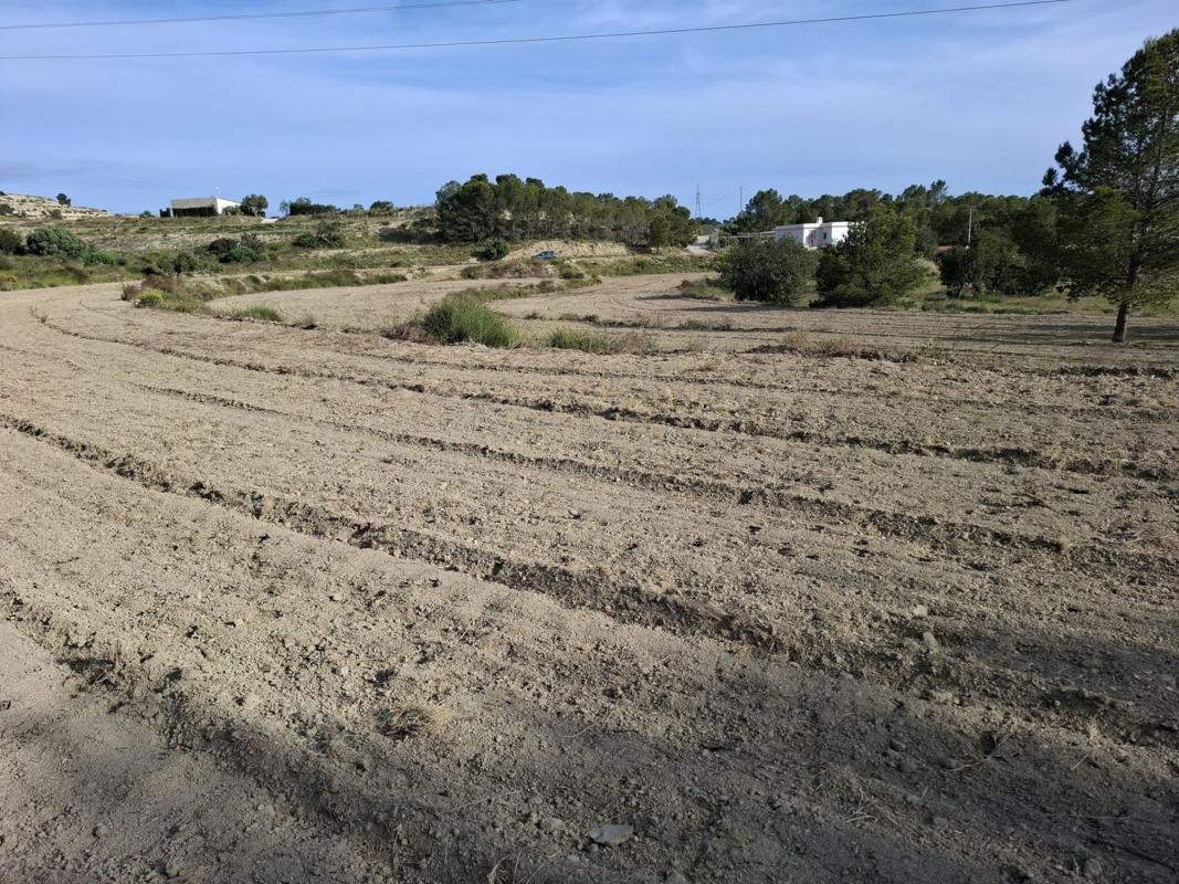 Propiedades en venta y alquiler en España photo 4