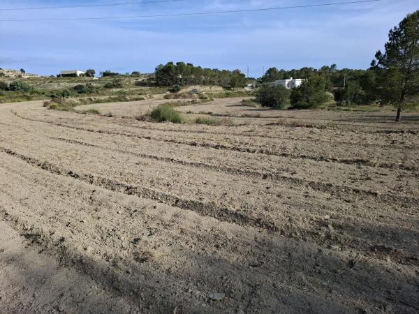 Casa rural en Ptda El Espino s/n, Busot photo 4