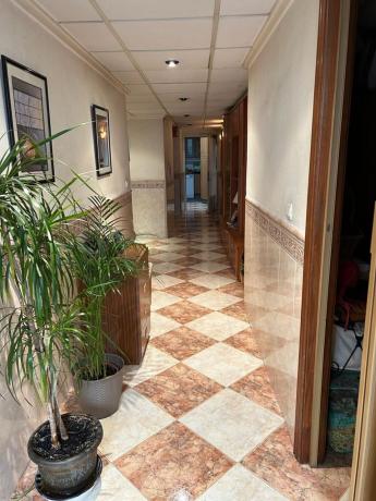 Casa o chalet independiente en Calle Bufart s/n, Centro, Elche / Elx photo 4