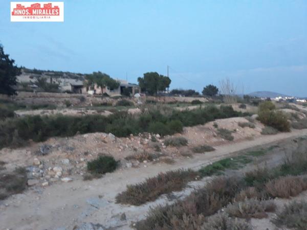 Finca rústica en venta en Finca rústica en Maitino-Perleta, Elche / Elx , Elche / Elx photo 1