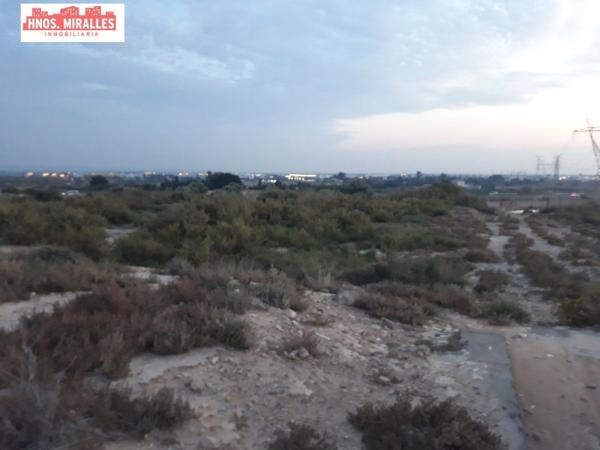 Finca rústica en venta en  Finca rústica en Maitino-Perleta, Elche / Elx , Elche / Elx photo 4
