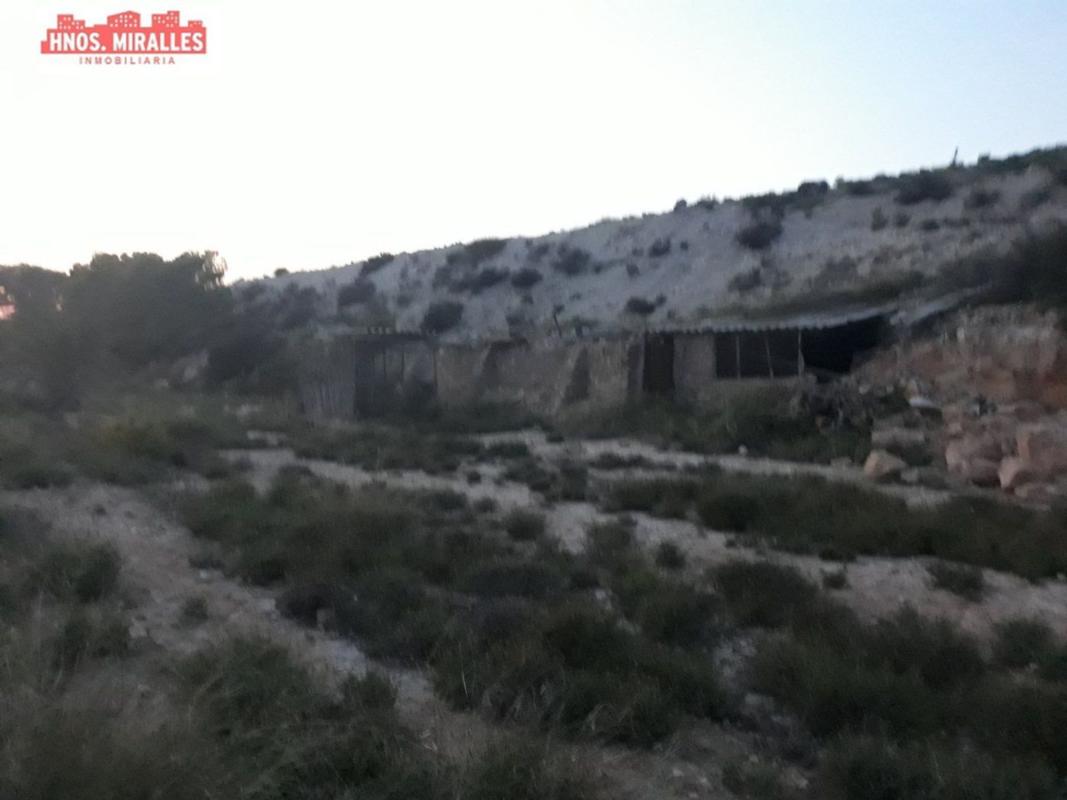 Venta de finca rústica en  Finca rústica en Maitino-Perleta, Elche / Elx , Elche / Elx photo 5