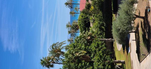 Venta de piso en Piso en Camino Muchavista, 31, PAU 5, Alicante / Alacant, Alicante / Alacant
thumbnail 2