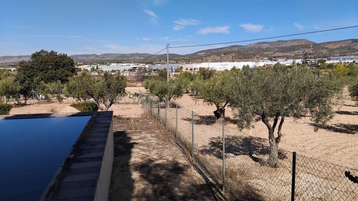 Propiedades en venta y alquiler en España photo 1