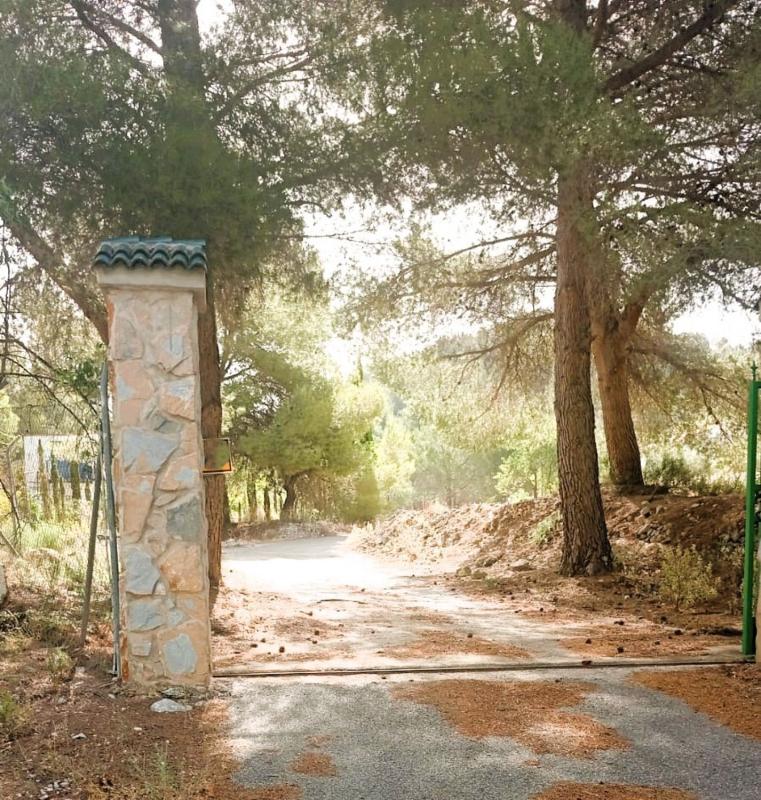 Venta de chalet independiente en Casa o chalet en Via Sense Nom, Petrer, Petrer
photo 2