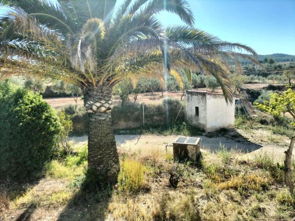 Finca rústica en venta en Finca rústica en Partida Sargaret, polígono 10, parcela 76, 120, Ibi , Ibi thumbnail 3