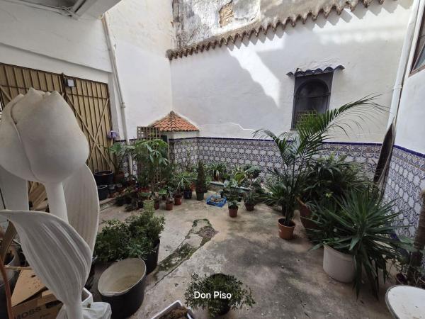 Chalet adosado en Pego photo 2