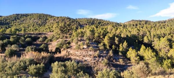 Masía en Barri Santa Rosa, Alcoy / Alcoi thumbnail 3