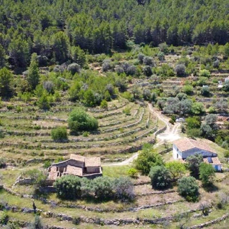 Propiedades en venta y alquiler en España photo 2