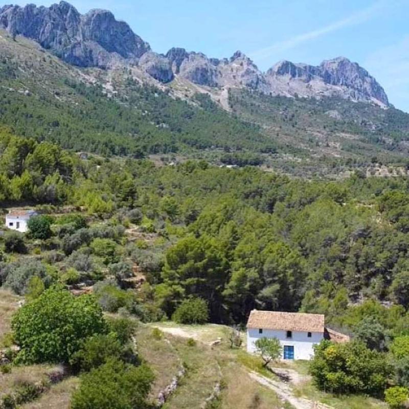 Propiedades en venta y alquiler en España photo 3