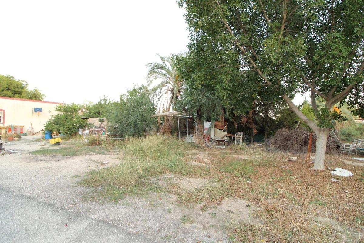 Продажа загородного участка в  Finca rústica en Cementerio-El Aljub, Elche / Elx , Эльче / Эльх photo 4