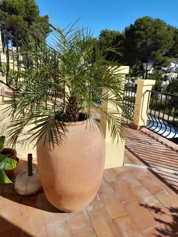 Sprzedaż mieszkania w Piso en Benimeit-Tabaira, Moraira, Moraira
photo 3