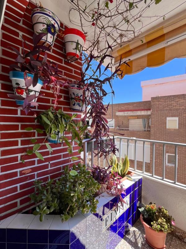 Sprzedaż mieszkania w Piso en Raval Roig-Virgen del Socorro, Alicante / Alacant, Alicante / Alacant
photo 3