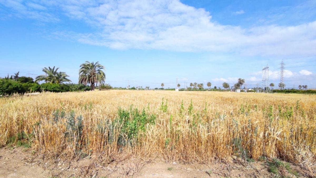 Properties for sale and rent in Spain photo 2
