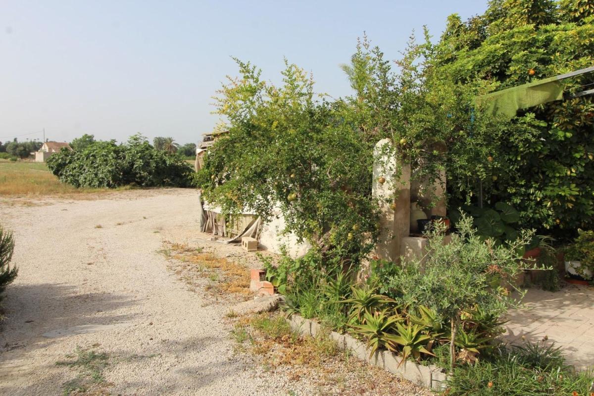 Sale of rural property in  Algoda-Matola-San José Plain , Elche / Elx photo 2