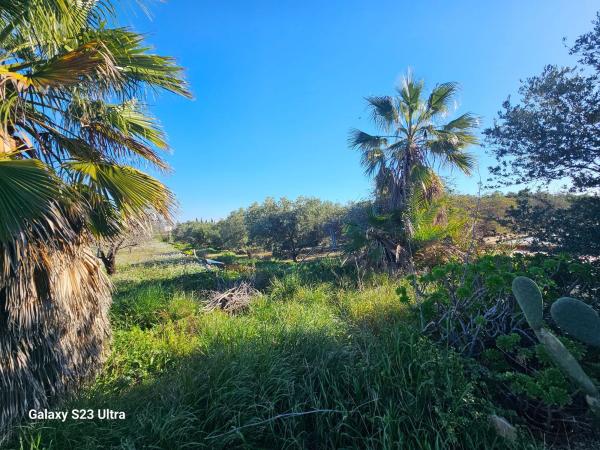 Casa o chalet independiente en Maitino-Perleta, Elche / Elx thumbnail 2