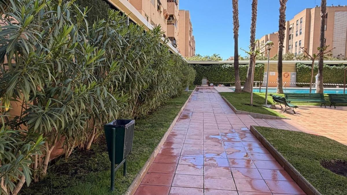 Venta de piso en Piso en Calle Biòleg Konrad Lorenz, Garbinet - Parque de las Avenidas, Alicante / Alacant, Alicante / Alacant
photo 3