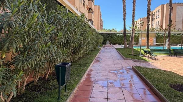 Venta de piso en Piso en Calle Biòleg Konrad Lorenz, Garbinet - Parque de las Avenidas, Alicante / Alacant, Alicante / Alacant
 photo 3