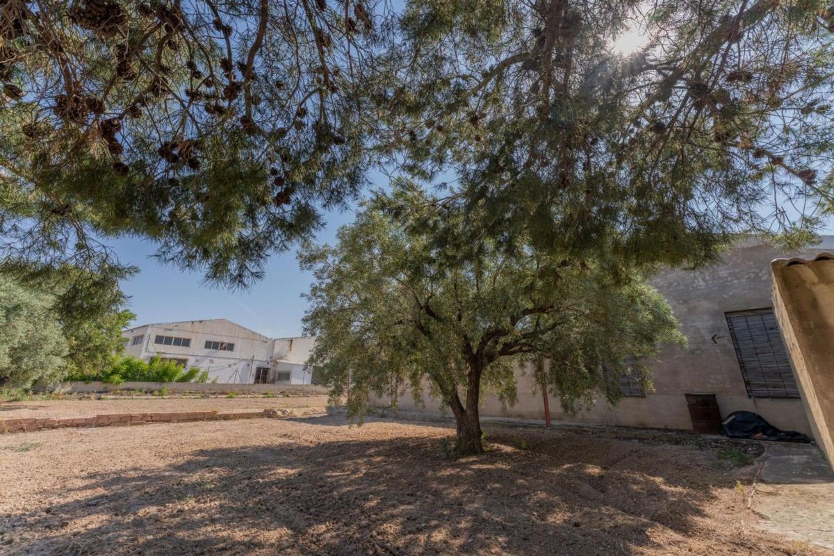 Properties for sale and rent in Spain photo 2