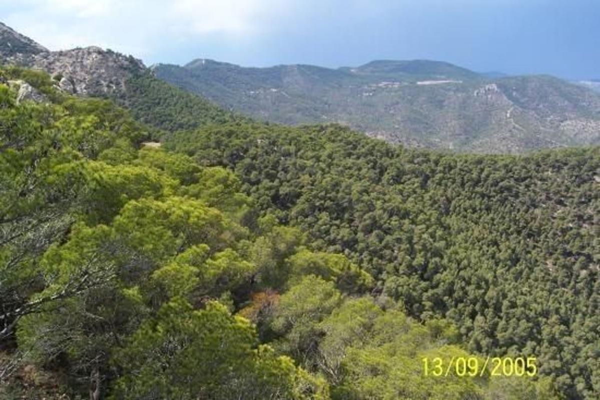 Propiedades en venta y alquiler en España photo 2