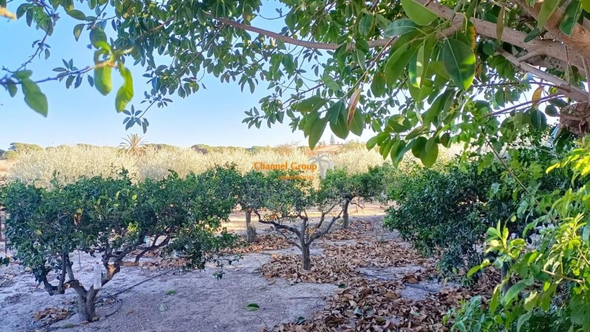 Properties for sale and rent in Spain photo 4