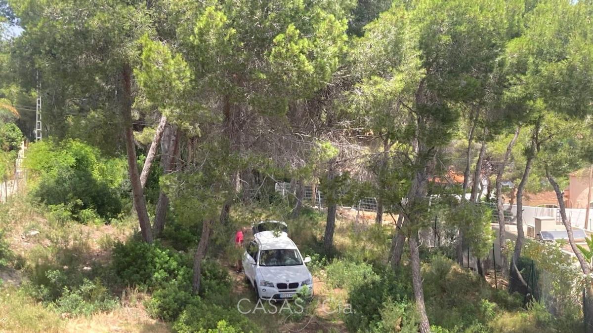 Продажа загородного участка в Finca rústica en Calle Morera, Pinar de Advocat-Cometa, Moraira , Морайра photo 5