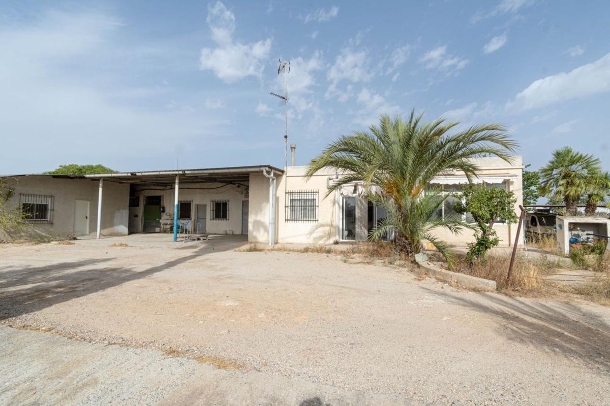 Sale of rural property in Finca rústica en Partida Saladas, 2015 a, Jubalcoi-Saladas, Elche / Elx , Elche / Elx photo 3